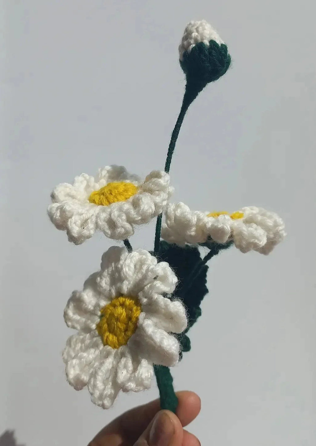 daisy bunch