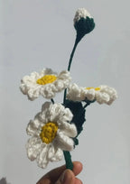 daisy bunch