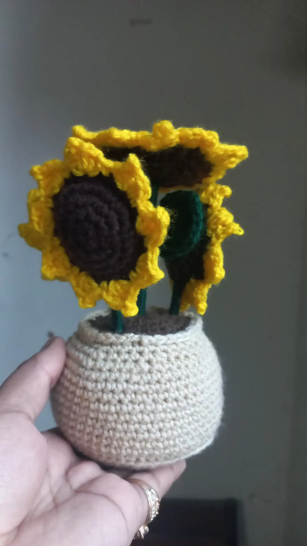 Sunflower pot