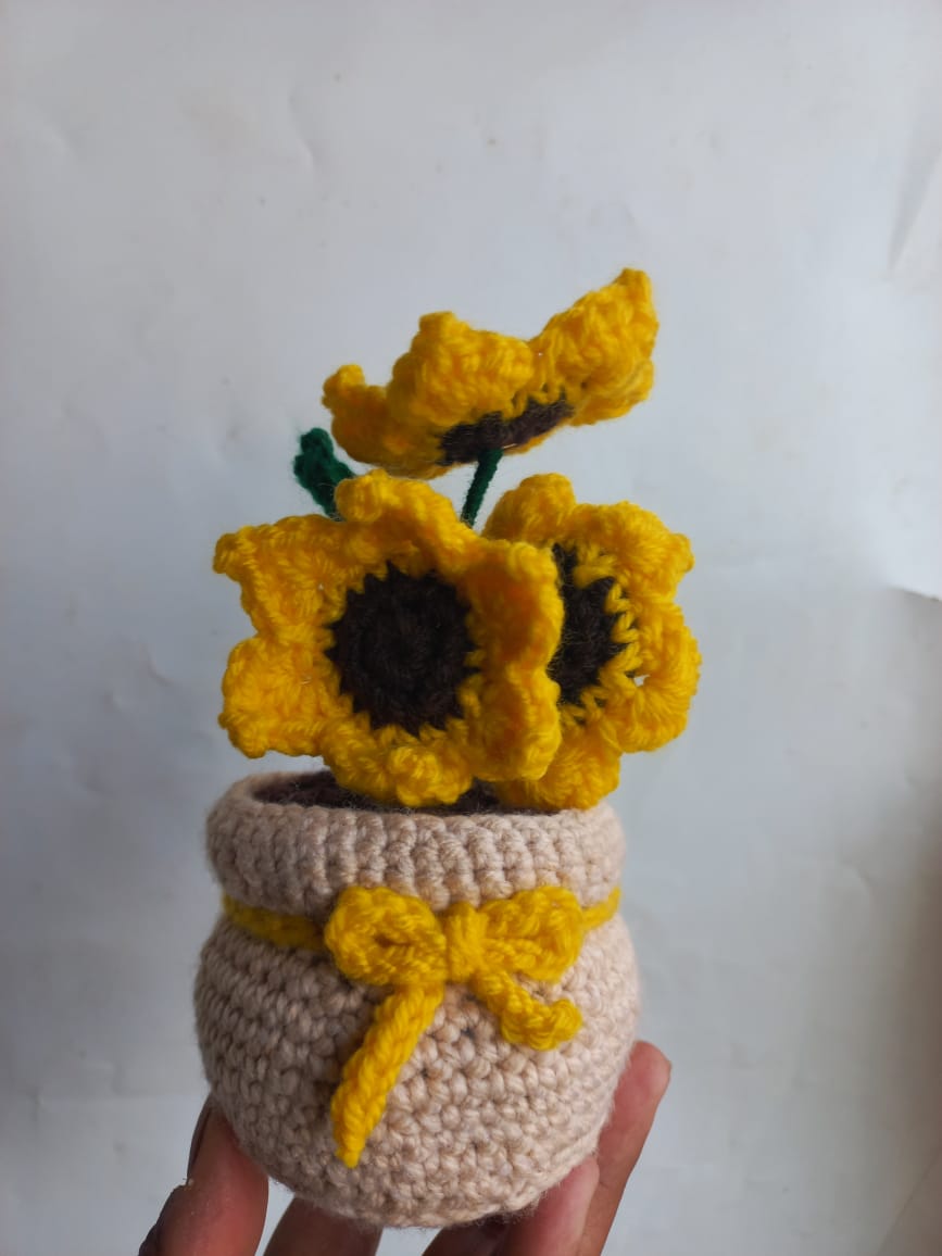 Skin Sunshine Pot