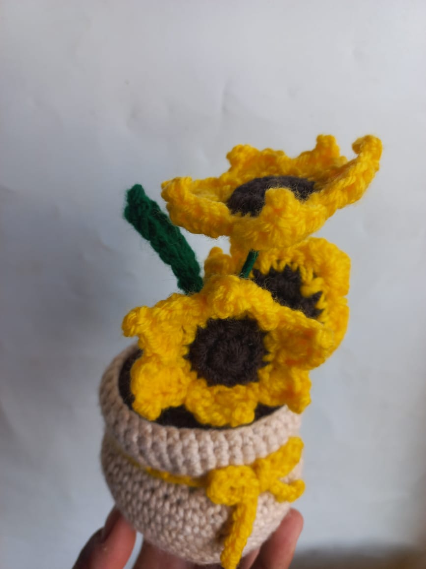 Skin Sunshine Pot