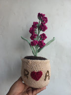 Spinel LOV Pot