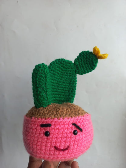 Succulent Pot