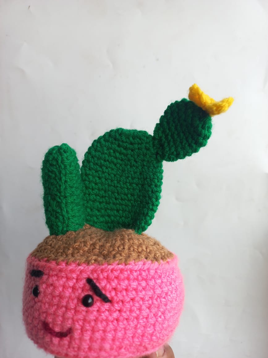 Succulent Pot