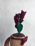 Ruby Fressia Pot