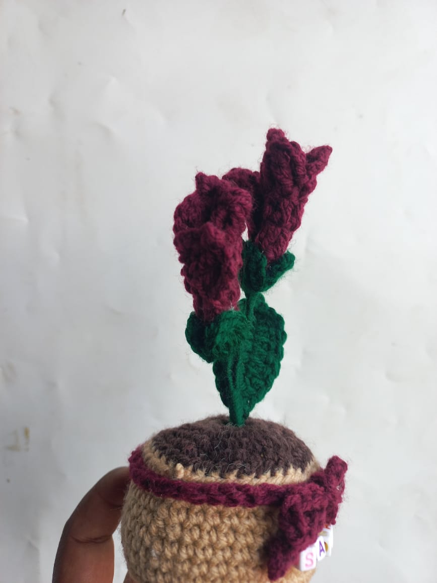 Ruby Fressia Pot