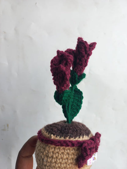 Ruby Fressia Pot