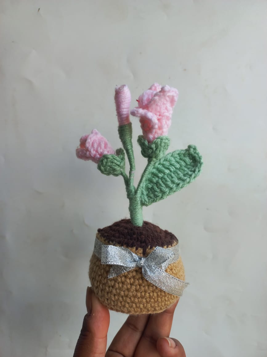 Blush Fressia Pot