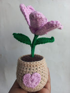 Lilac Water Lilly Pot