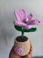 Lilac Water Lilly Pot