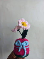 Blush Daisy Pot