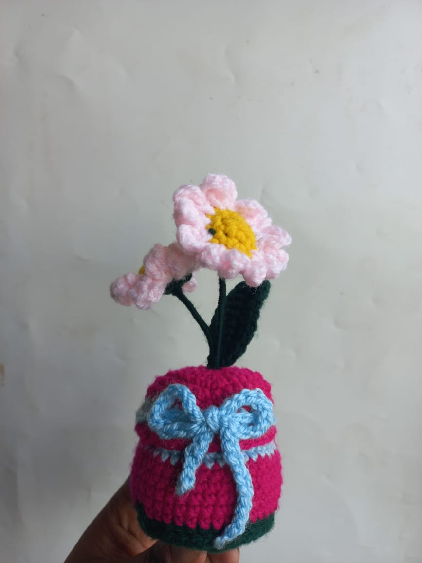 Blush Daisy Pot