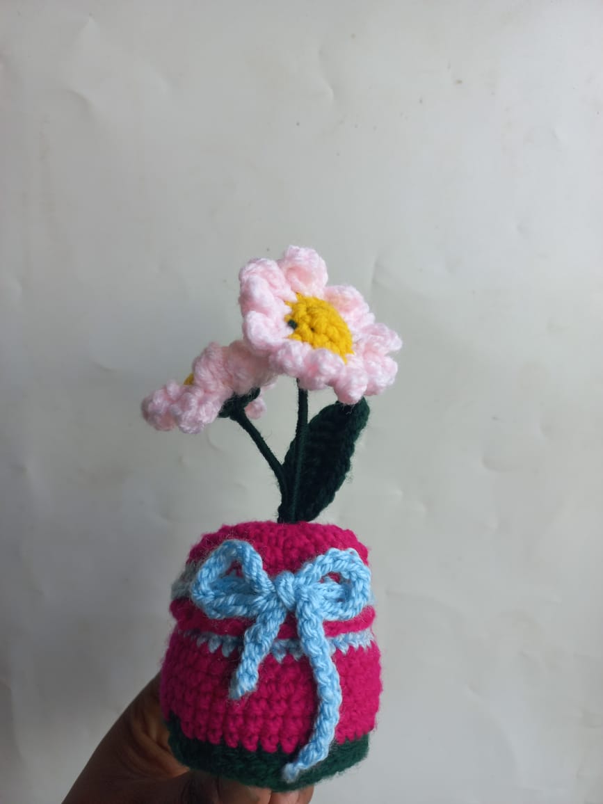 Blush Daisy Pot