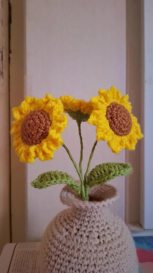 Crochet Flower Pots