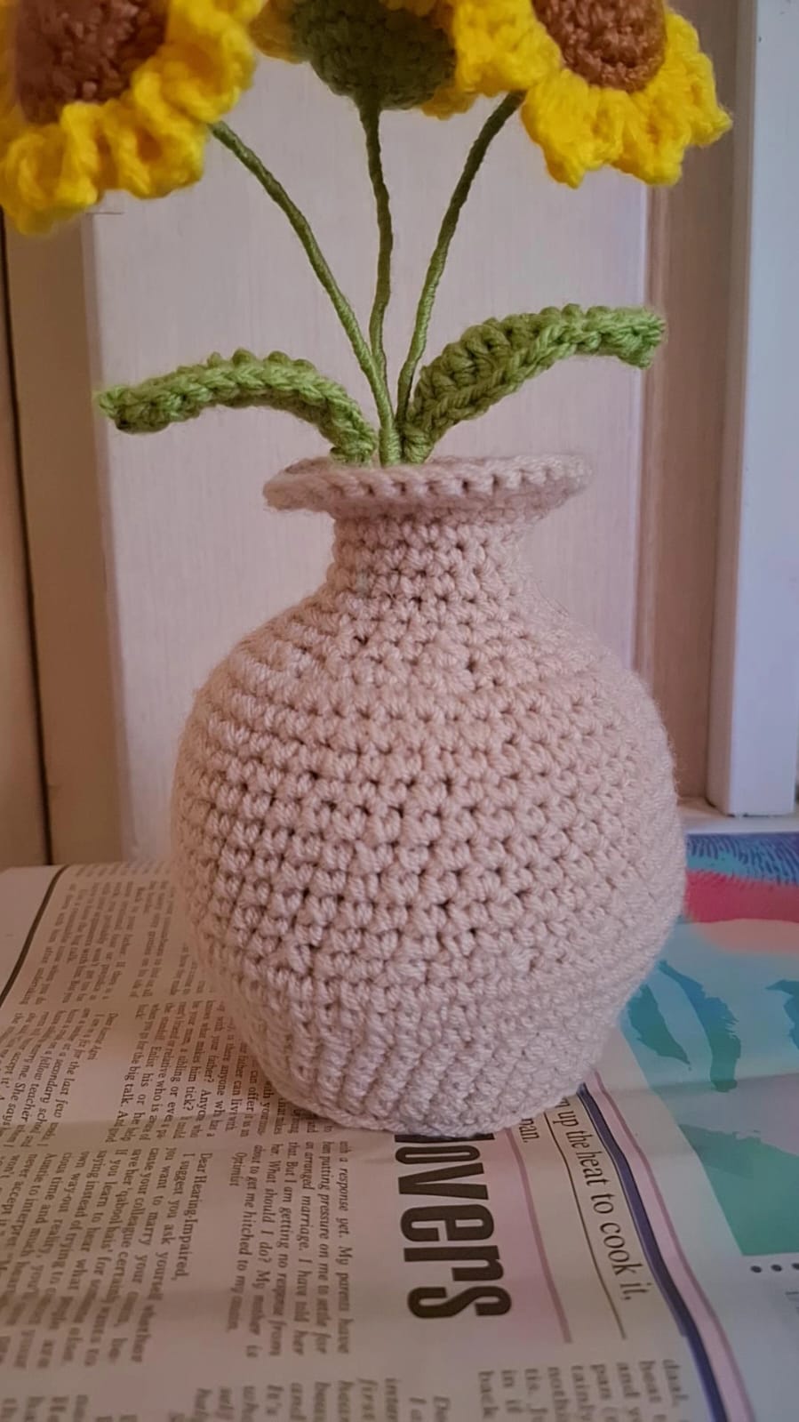 Crochet Flower Pots