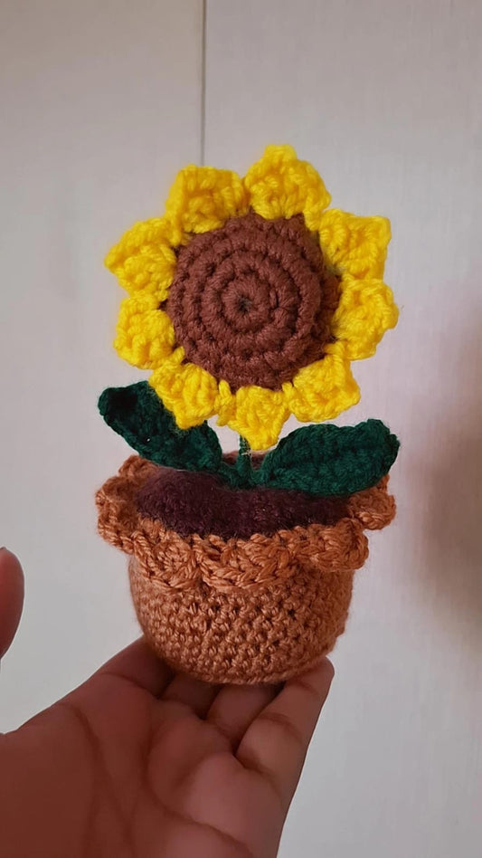 Mini pots