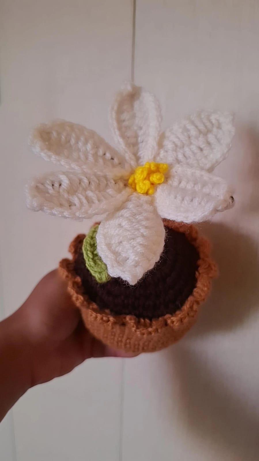Mini pots