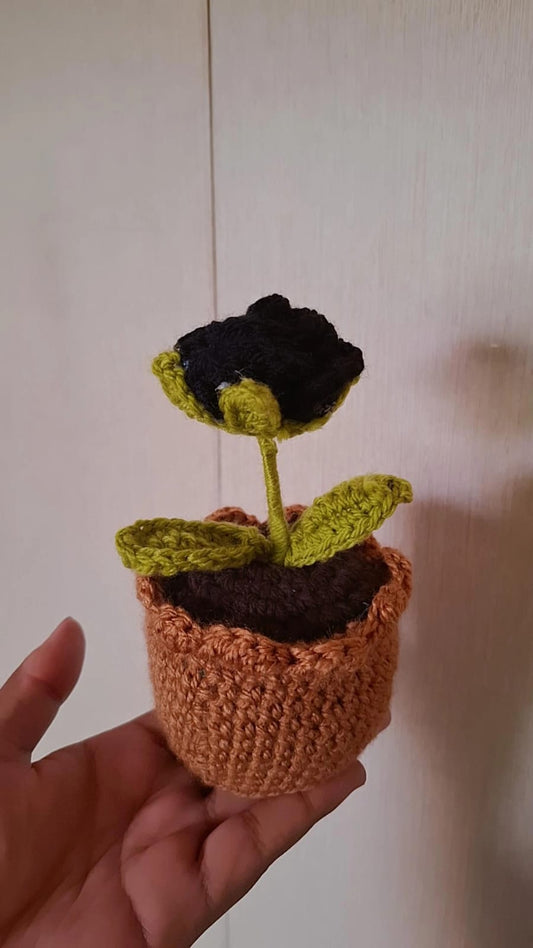 Mini pots