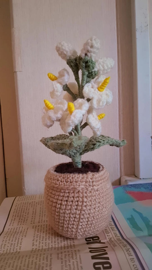 Mini pots