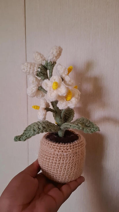 Mini pots