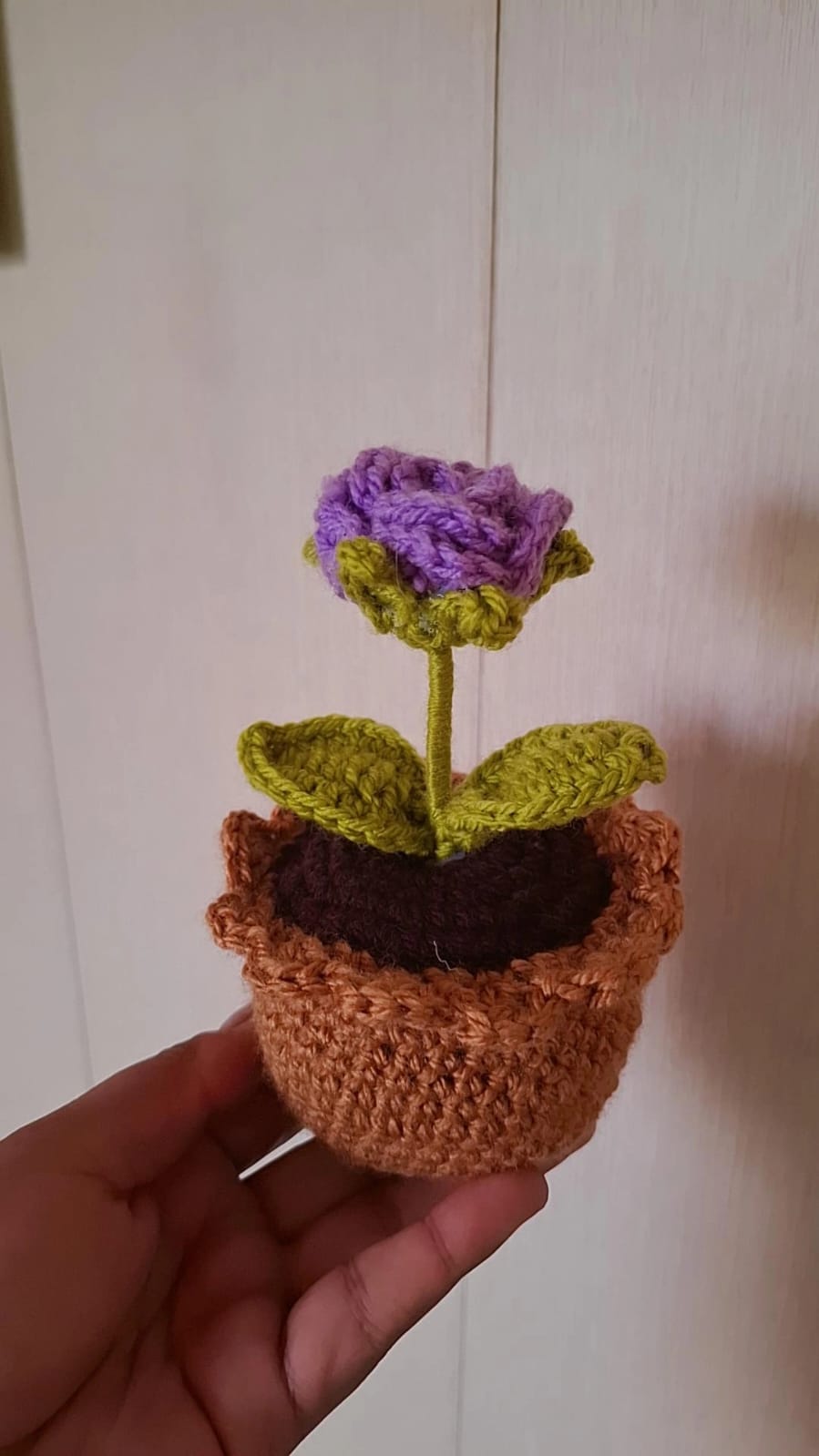 Mini pots