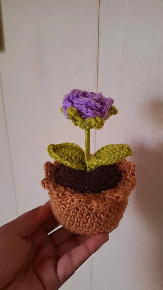 Mini pots