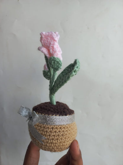 Blush Fressia Pot