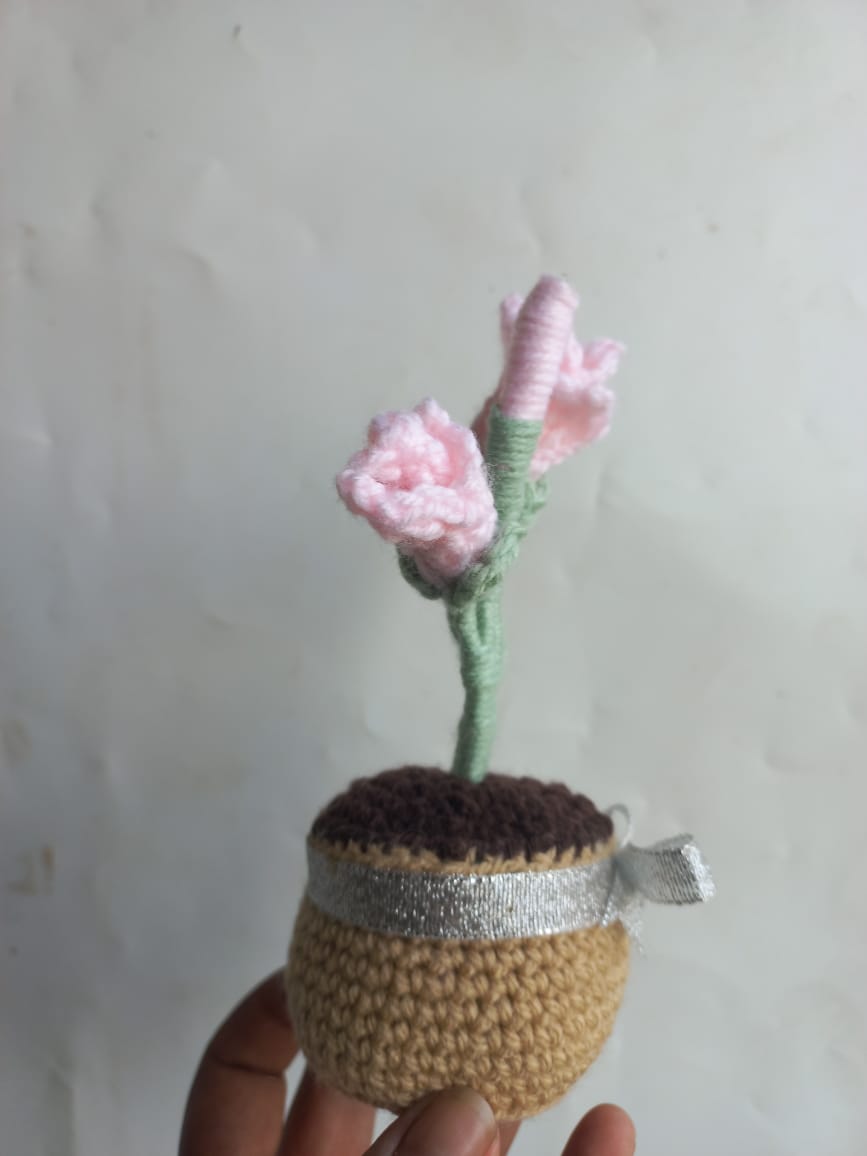 Blush Fressia Pot